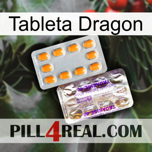 Dragon Tablet new12.jpg